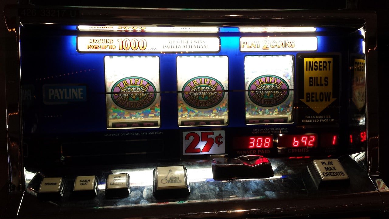 cbv666